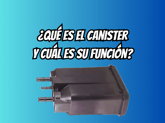 que_es_el_canister_cual_es_su_funcion