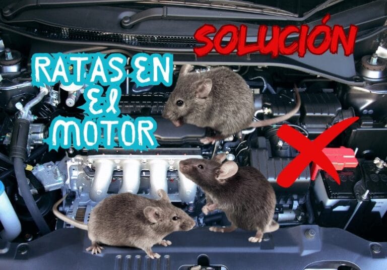 repeler_ratas_en_tu_vehiculo